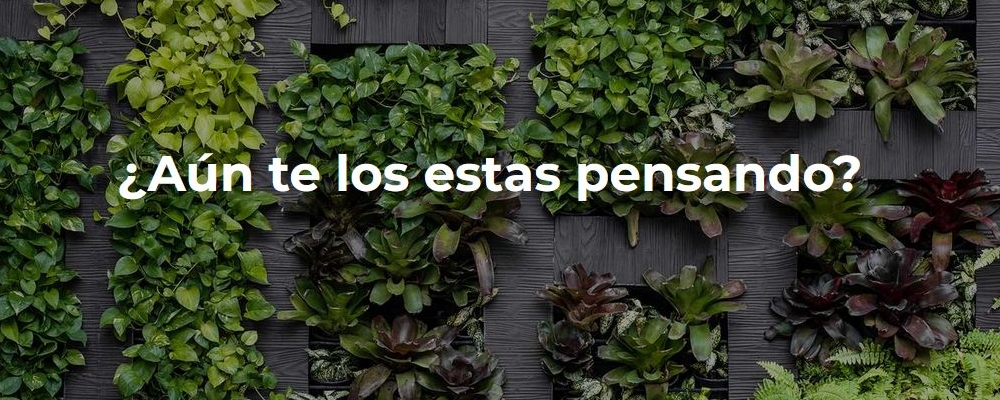 banner-0-EMECE PAISAJISMO